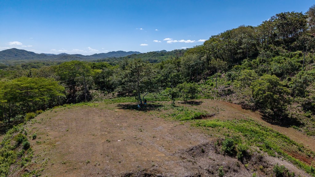 Picture 23