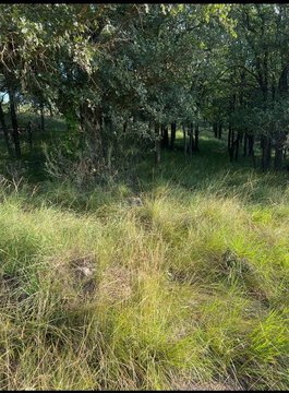 Lake Brownwood RV Lot