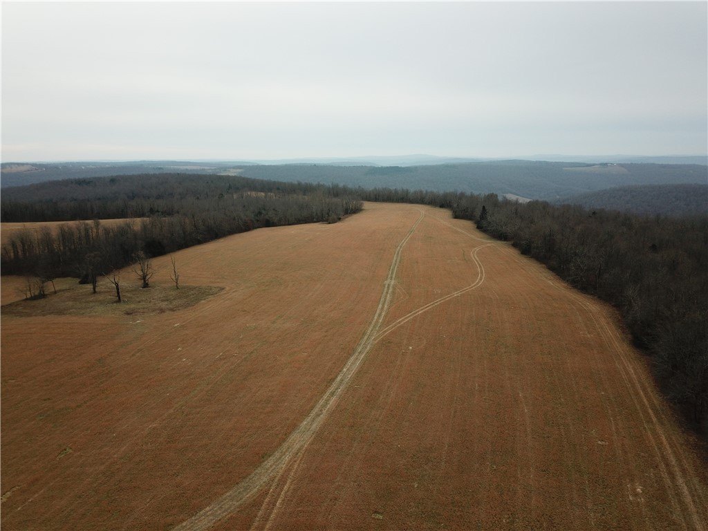 175 Acres of Searcy Land