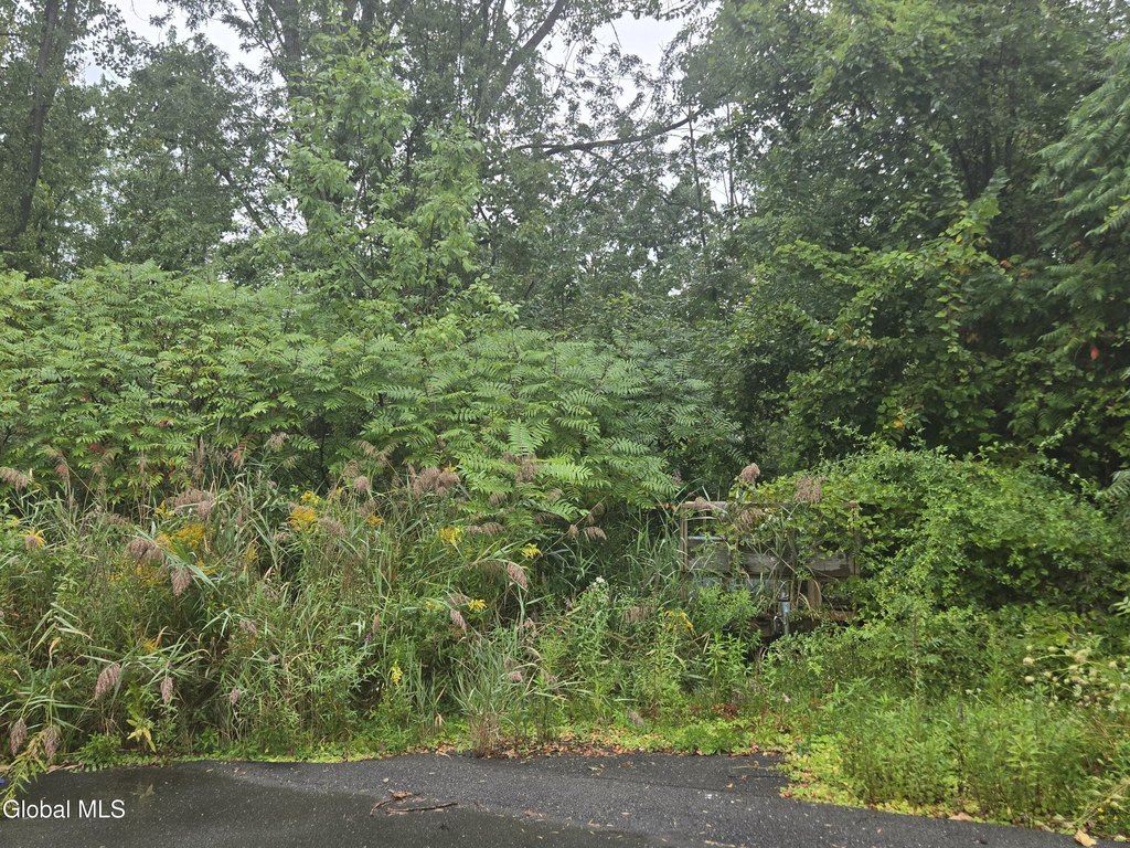 Picture 2