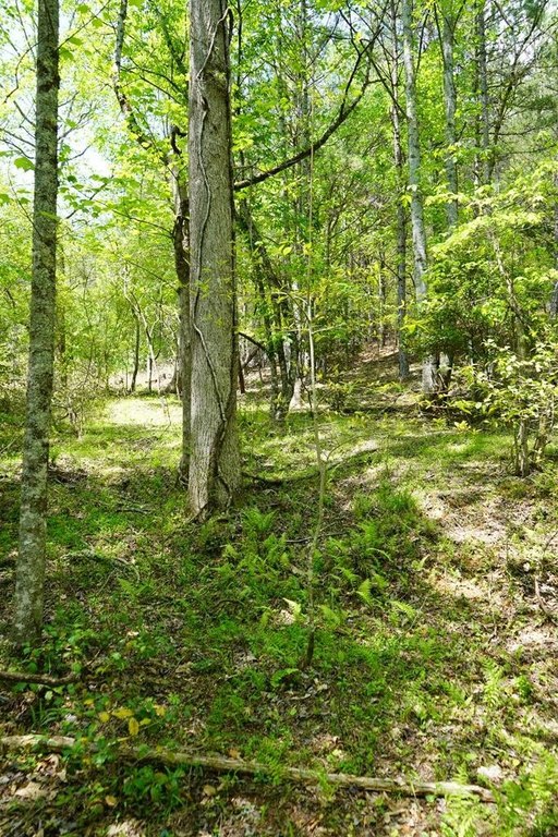 Picture 24