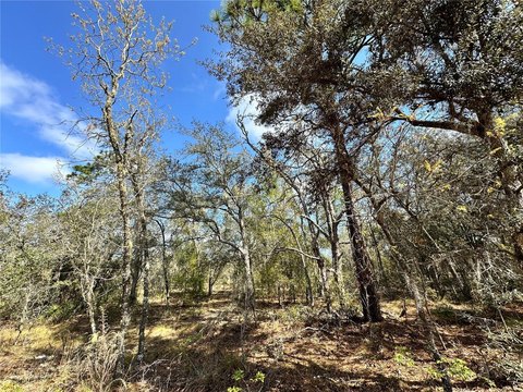 Residential Buildable Lot in Subdivision