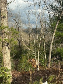 Vacant Lot, Blue Ridge, GA