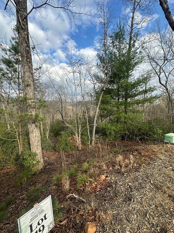 Picture 10