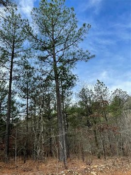 LAND - Broken Bow, OK