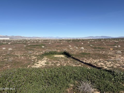 California City Land For Sale
