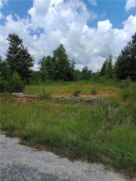 Talbotton Hunting and Recreation Land