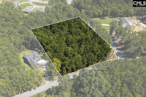 LOTS AND ACREAGE, Prosperity, SC