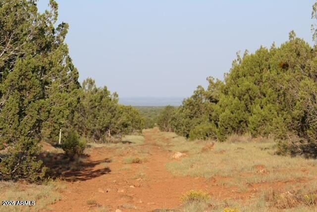 Picture 8