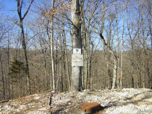Picture 3