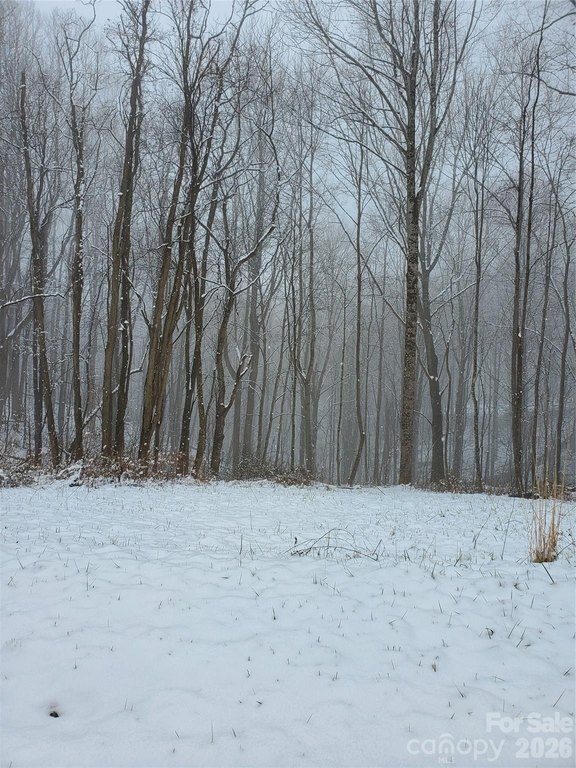 Picture 24