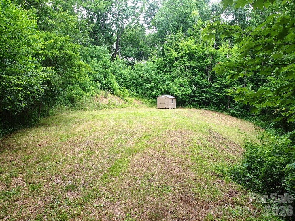 Picture 3