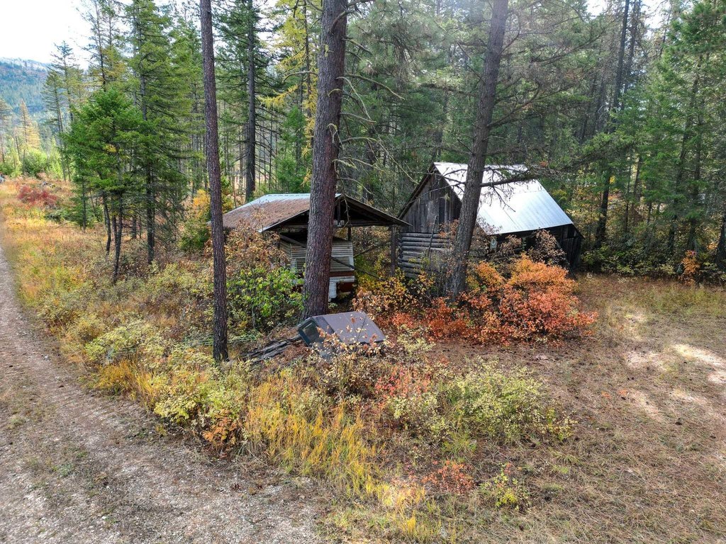 Picture 5
