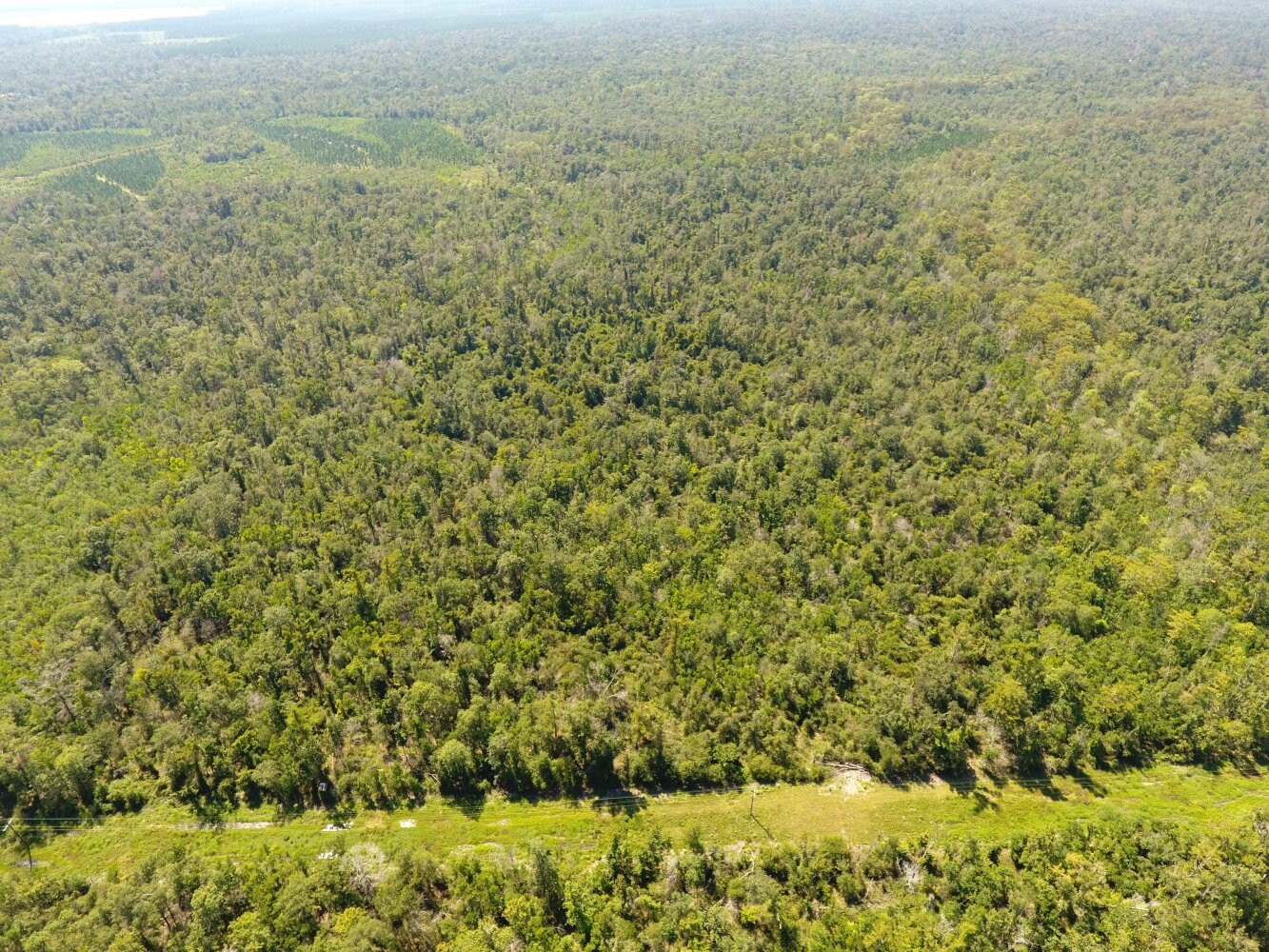 Recreational Land in Reeves, LA