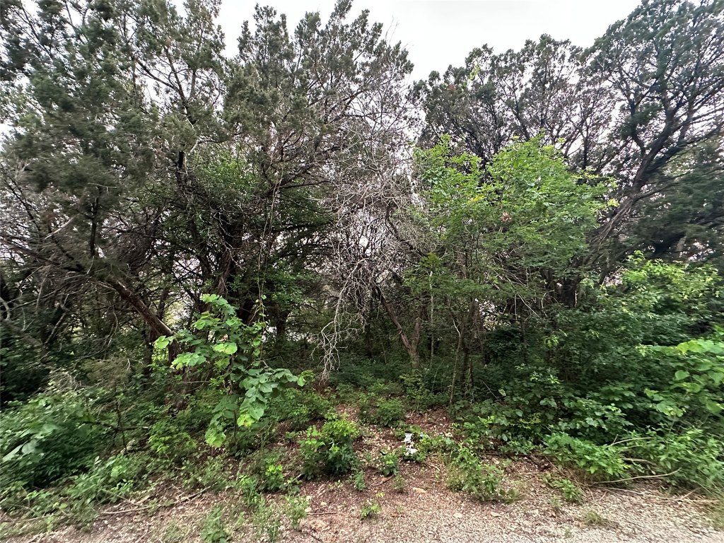 Picture 10