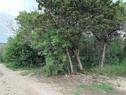 Scenic Land Near Lake Whitney