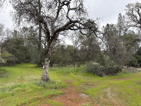 Oroville Land Development Opportunity