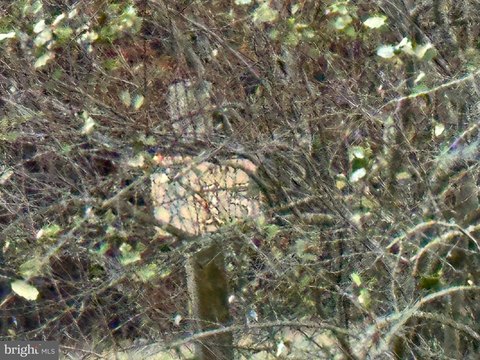 Level Building Lot in Keyser