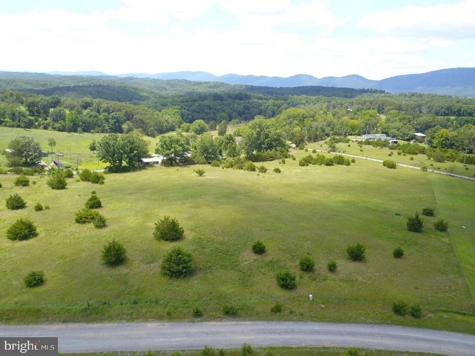Picture 8
