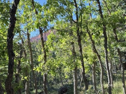 LAND - Duck Creek Village, UT