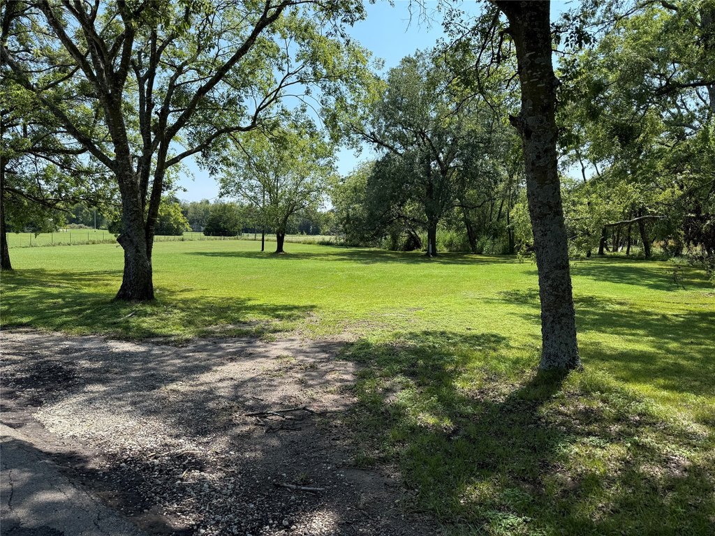 Picture 14
