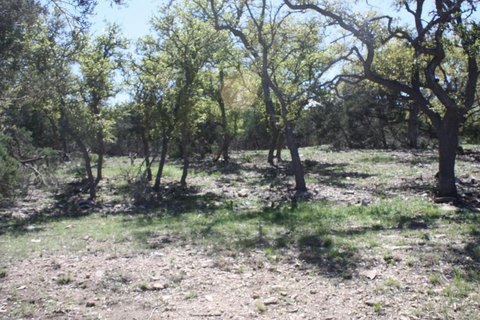 Kerrville Land with Wooded Acreage