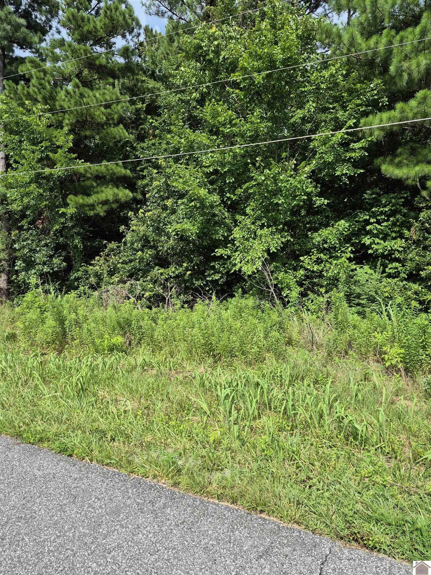 Residential Land in Running Bear