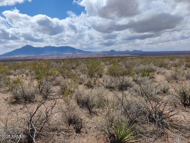 Land with Mountain Views