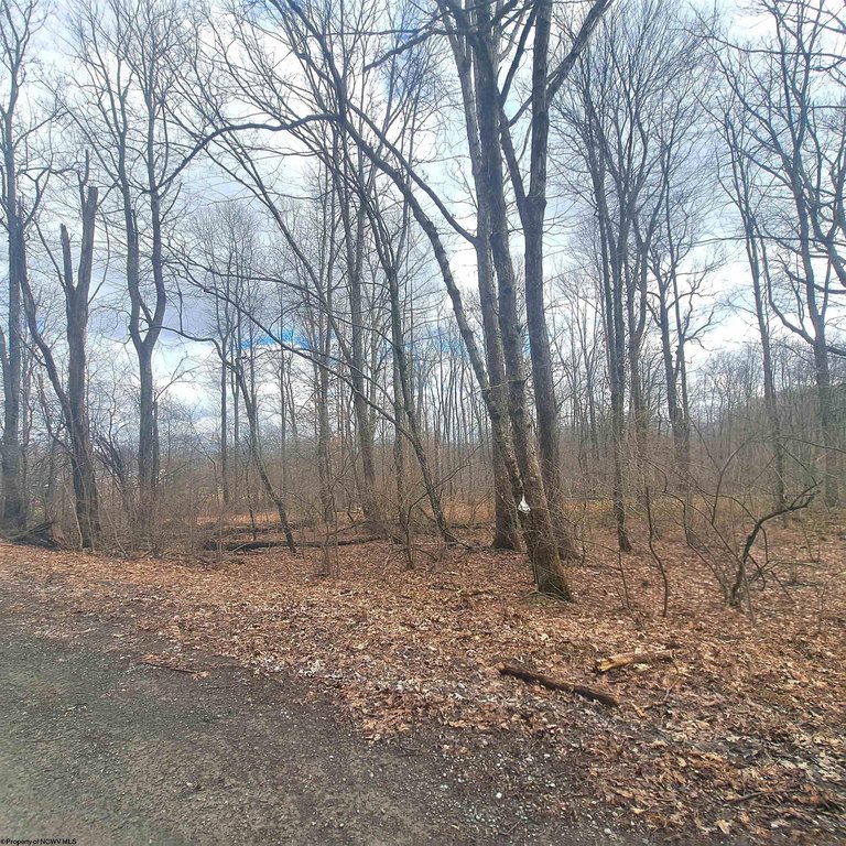 Picture 21