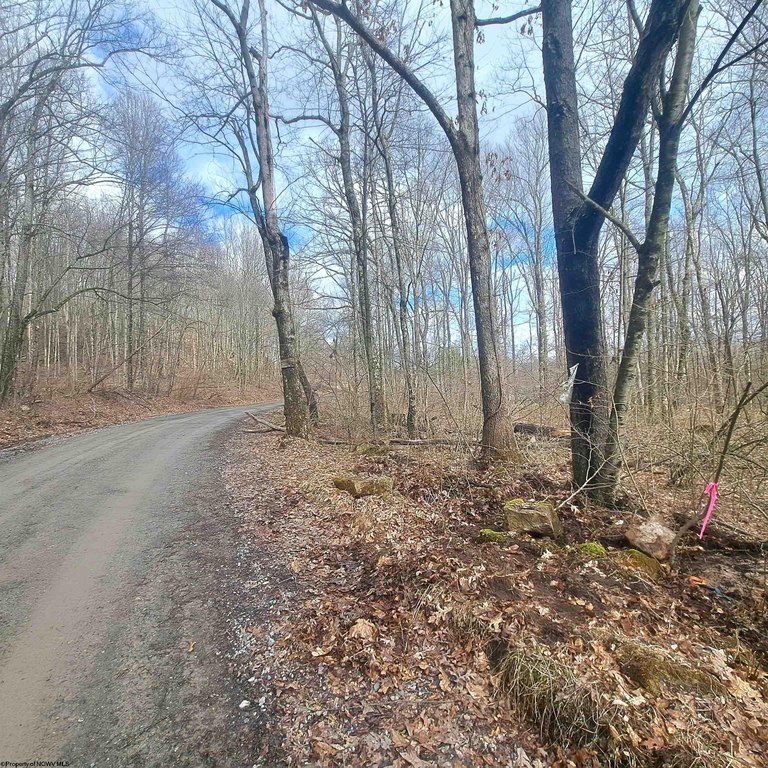 Picture 17