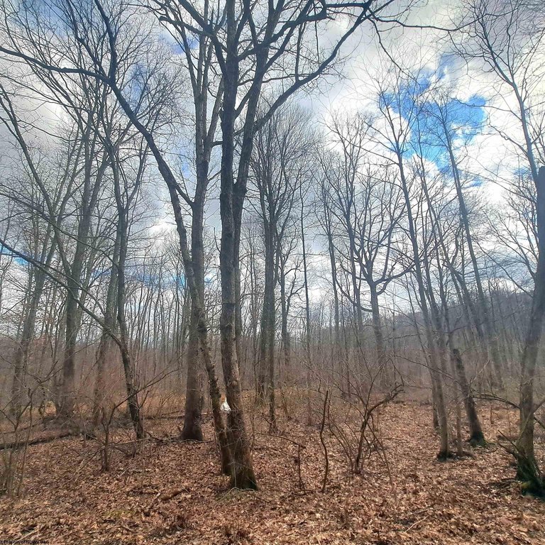 Picture 19