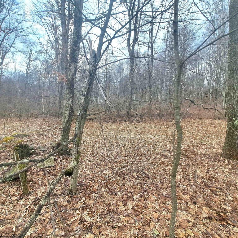 Picture 3