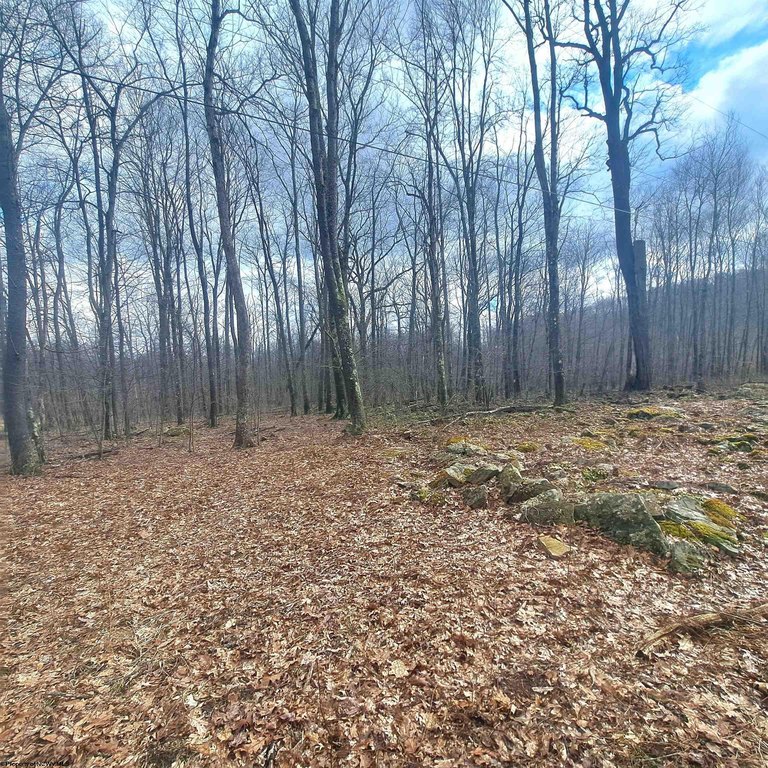Picture 7