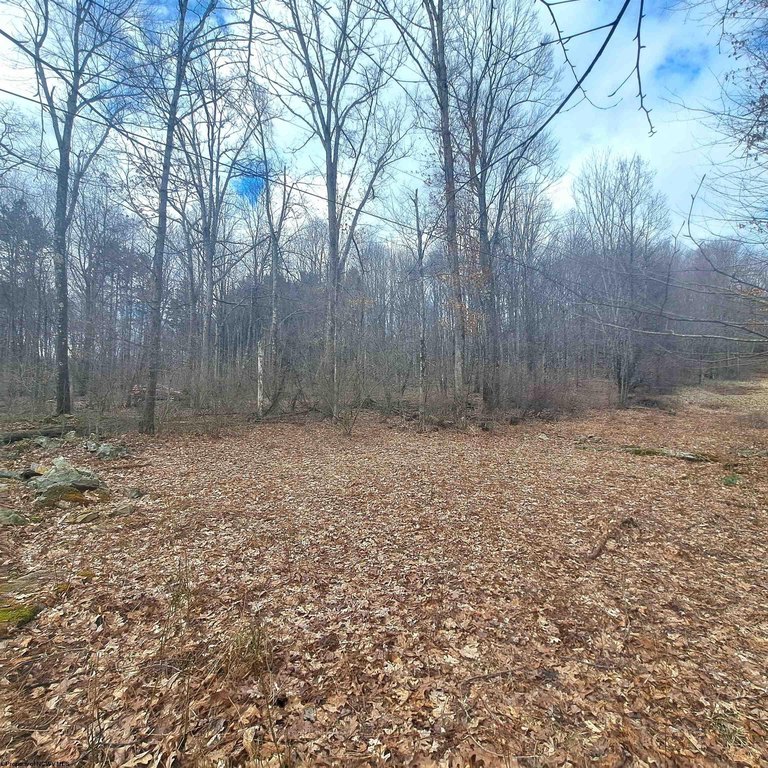 Picture 6