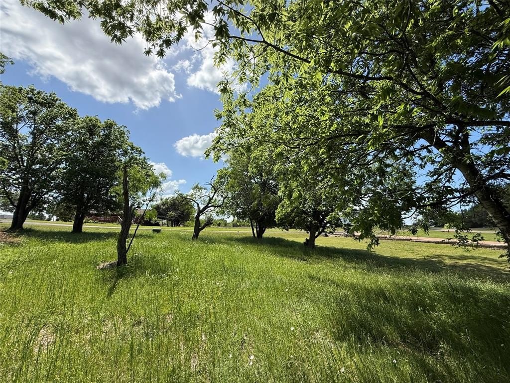Picture 27