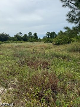 Land, Labelle, FL