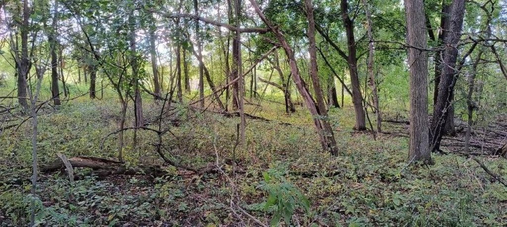 Picture 14
