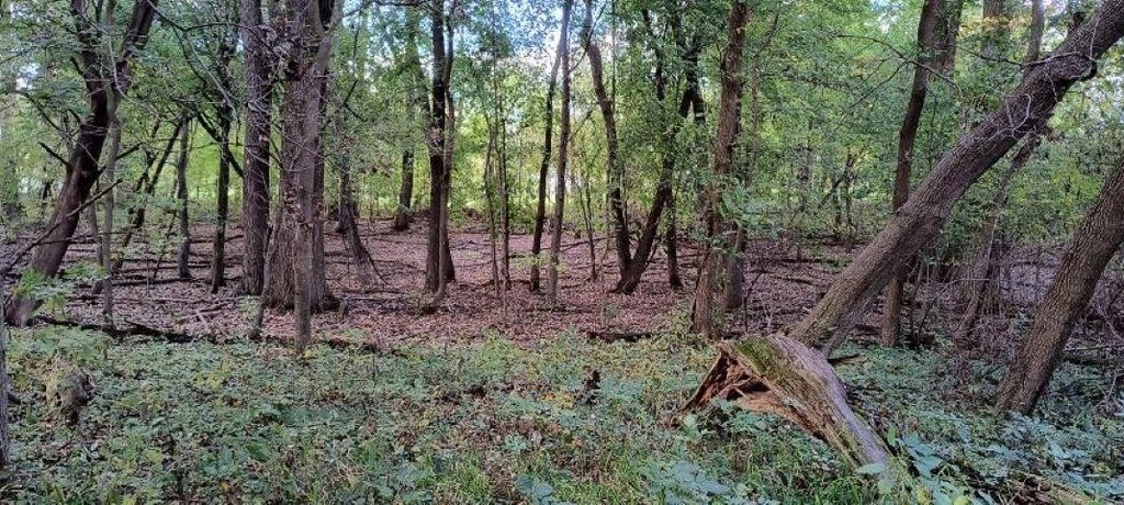 Picture 15