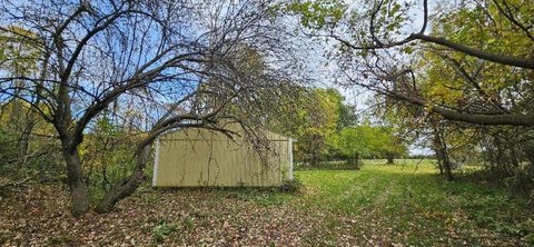 VACANT LAND, Bancroft, MI