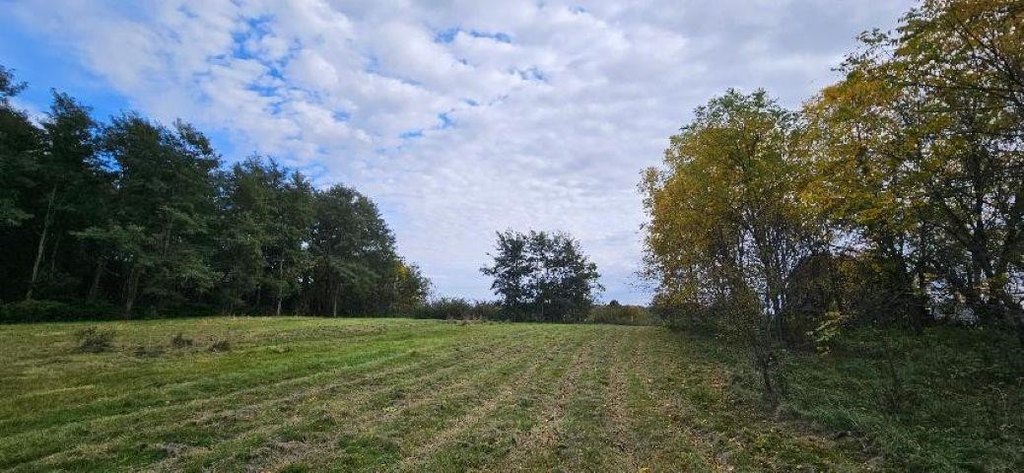 Picture 10
