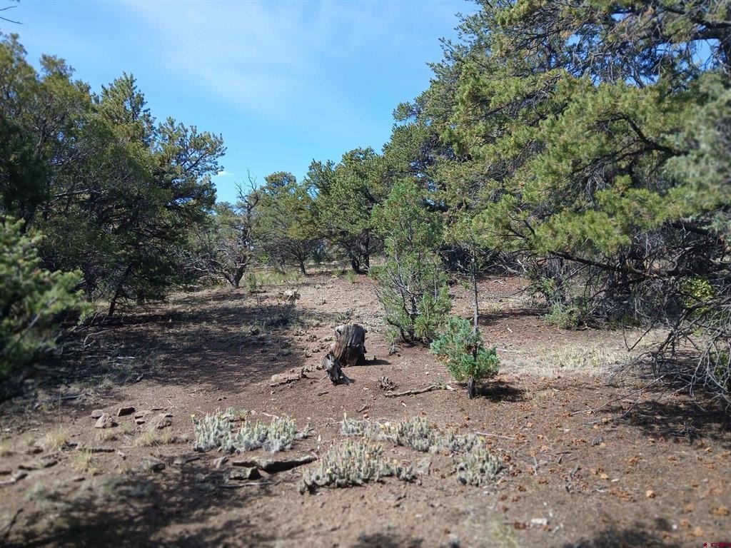 Land in South Fork, CO
