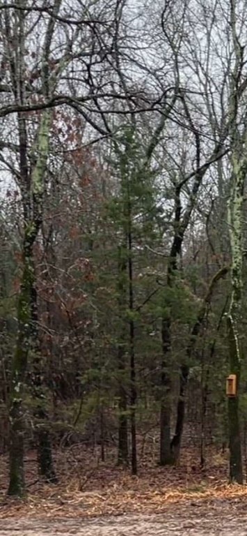 Picture 2