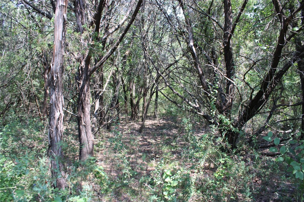 Picture 4