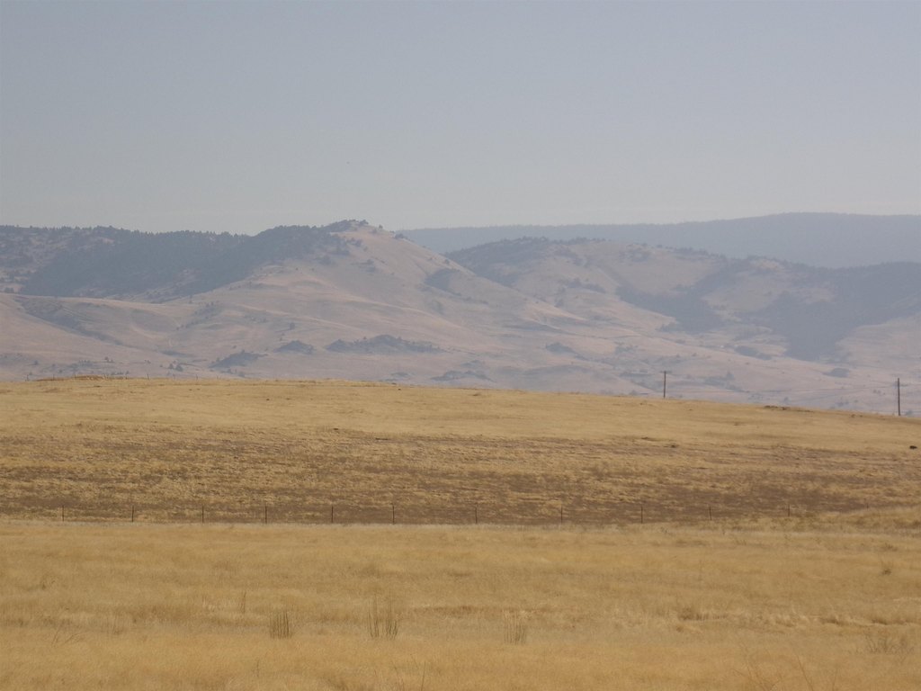 Picture 4