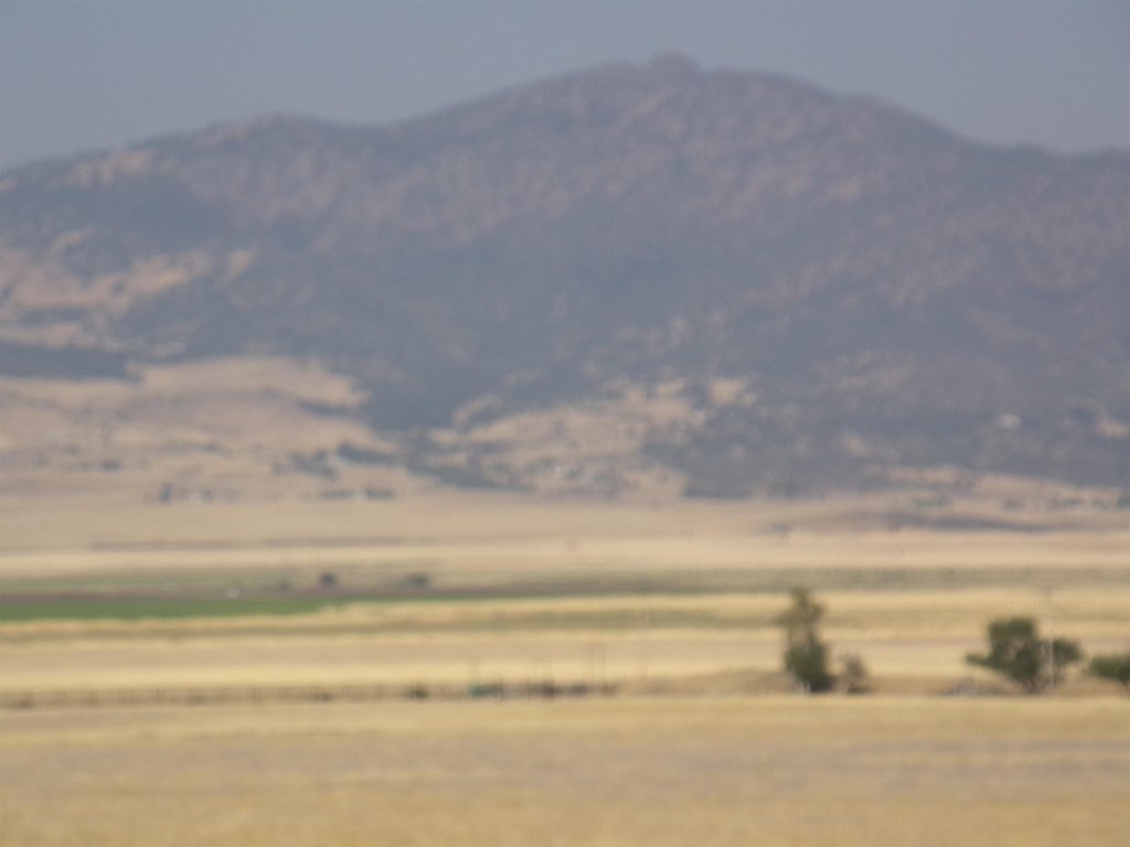 Picture 7