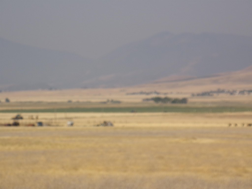 Picture 6