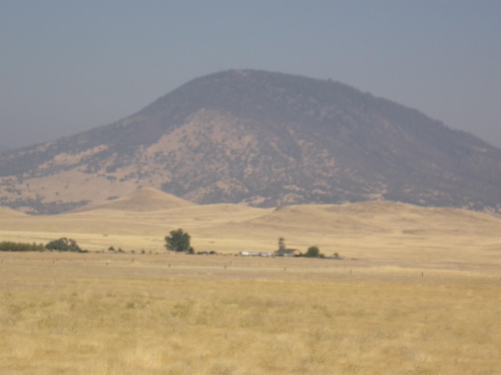 Picture 3