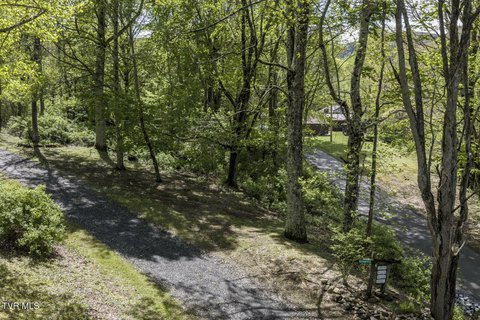 Roan Mountain Land Opportunity