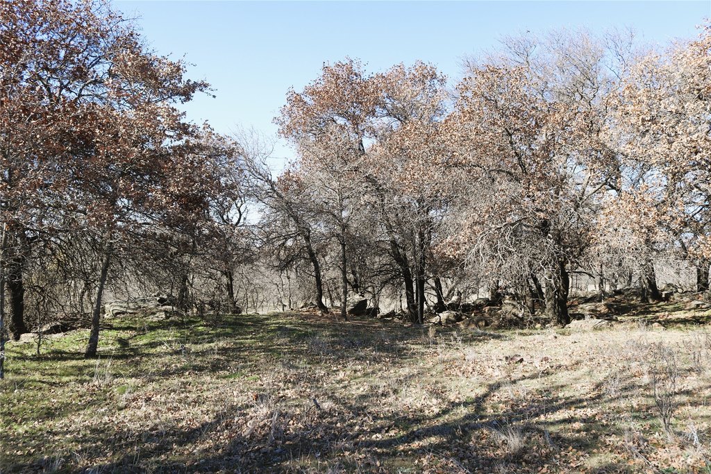 Picture 18