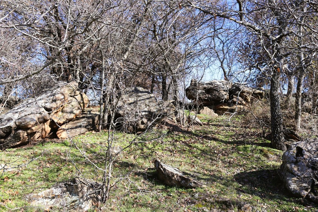 Picture 16